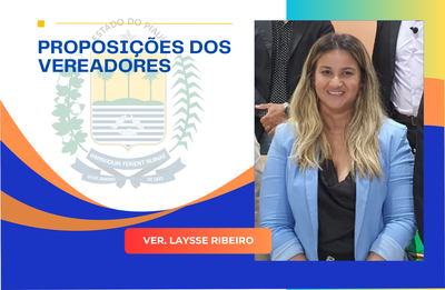 Câmara de Brejo do Piauí aprova requerimento de Laysse Ribeiro solicitando instalação de redutor de velocidade
