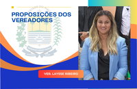 Câmara de Brejo do Piauí aprova requerimento de Laysse Ribeiro solicitando instalação de redutor de velocidade
